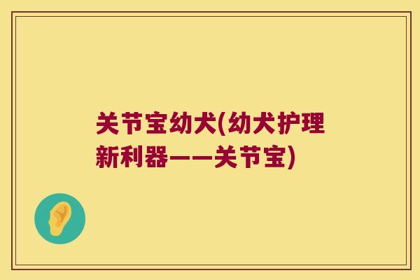 关节宝幼犬(幼犬护理新利器——关节宝)