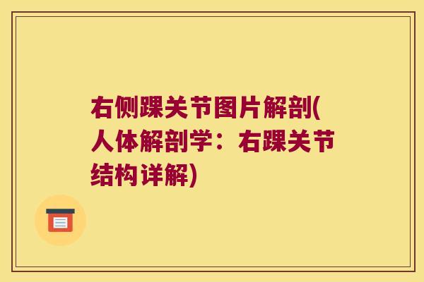 右侧踝关节图片解剖(人体解剖学:右踝关节结构详解)