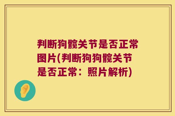 判断狗髋关节是否正常图片(判断狗狗髋关节是否正常:照片解析)