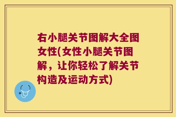右小腿关节图解大全图女性(女性小腿关节图解,让你轻松了解关节构造及运动方式)