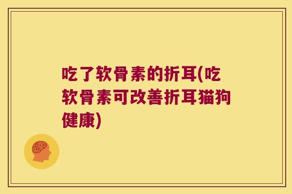 吃了软骨素的折耳(吃软骨素可改善折耳猫狗健康)