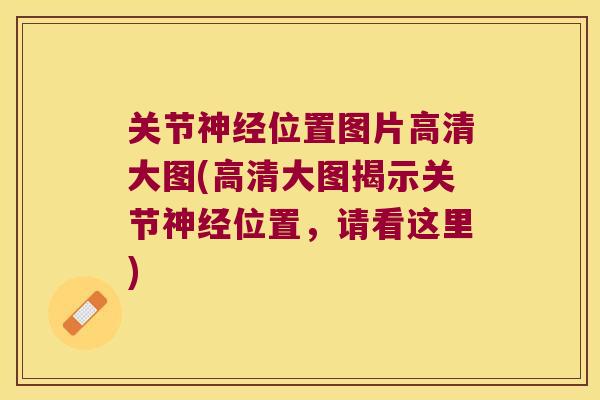 关节神经位置图片高清大图(高清大图揭示关节神经位置,请看这里)