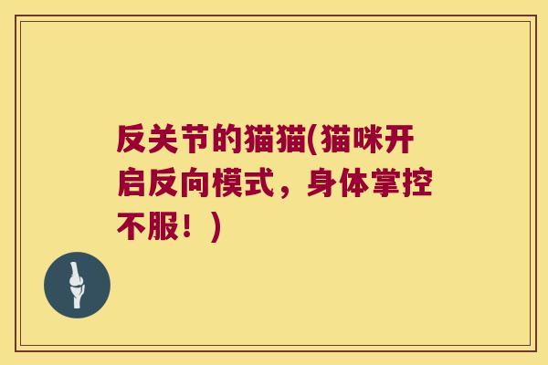 反关节的猫猫(猫咪开启反向模式,身体掌控不服!)