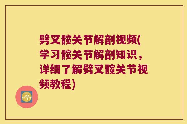 劈叉髋关节解剖视频(学习髋关节解剖知识,详细了解劈叉髋关节视频教程)