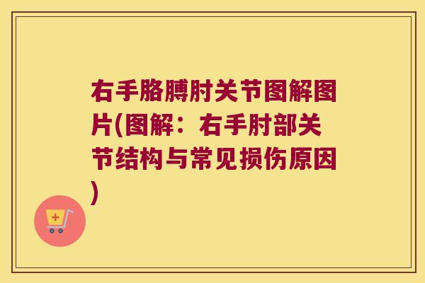 右手胳膊肘关节图解图片(图解:右手肘部关节结构与常见损伤原因)
