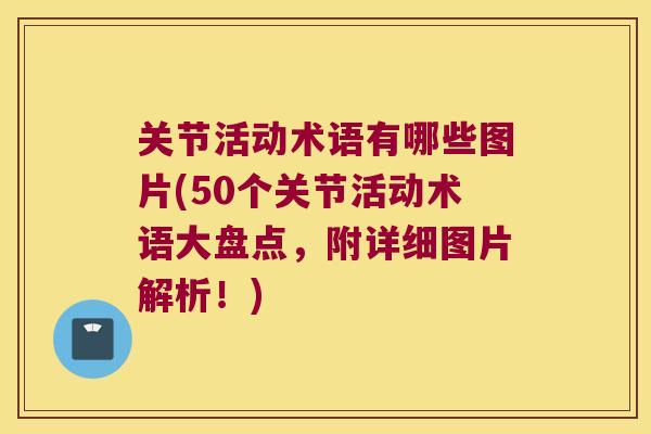 关节活动术语有哪些图片(50个关节活动术语大盘点,附详细图片解析!)
