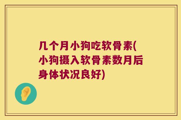 几个月小狗吃软骨素(小狗摄入软骨素数月后身体状况良好)