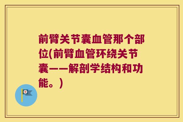 前臂关节囊血管那个部位(前臂血管环绕关节囊——解剖学结构和功能。)