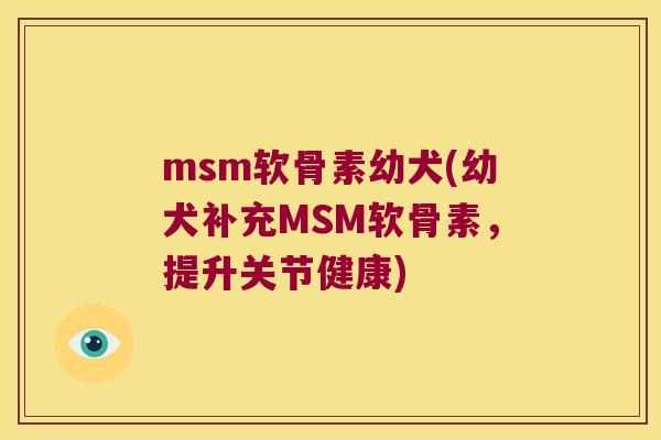 msm软骨素幼犬(幼犬补充MSM软骨素,提升关节健康)
