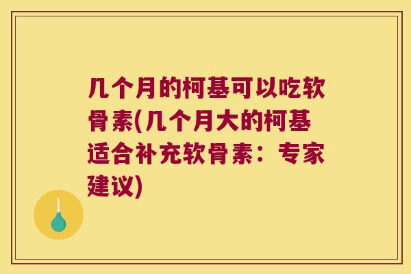几个月的柯基可以吃软骨素(几个月大的柯基适合补充软骨素:专家建议)