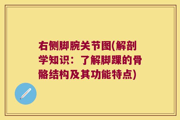右侧脚腕关节图(解剖学知识:了解脚踝的骨骼结构及其功能特点) 右侧脚腕关节图(解剖学知识:了解脚踝的骨骼结构及其功能特点)