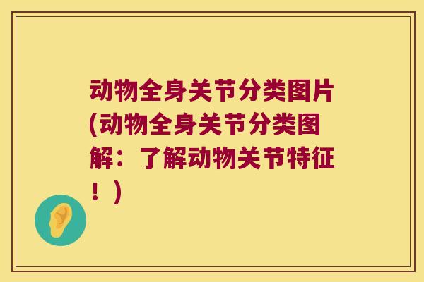动物全身关节分类图片(动物全身关节分类图解:了解动物关节特征!)