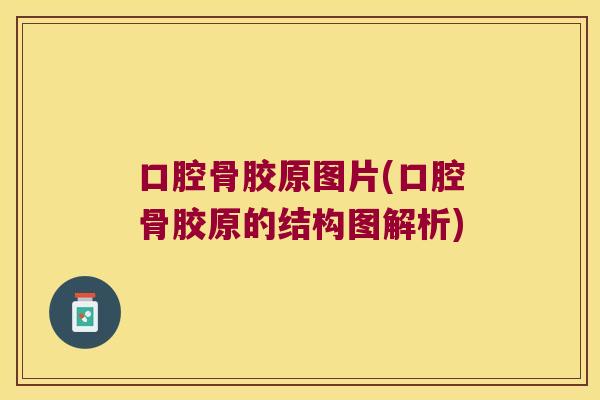 口腔骨胶原图片(口腔骨胶原的结构图解析) 口腔骨胶原图片(口腔骨胶原的结构图解析)
