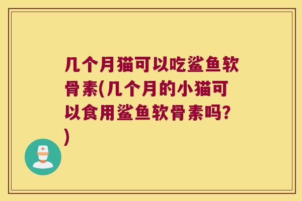 几个月猫可以吃鲨鱼软骨素(几个月的小猫可以食用鲨鱼软骨素吗?)