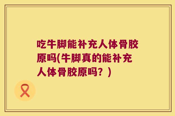 吃牛脚能补充人体骨胶原吗(牛脚真的能补充人体骨胶原吗?)