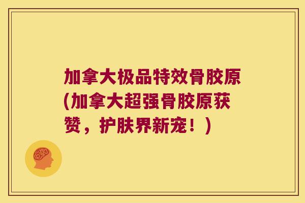 加拿大极品特效骨胶原(加拿大超强骨胶原获赞,护肤界新宠!)