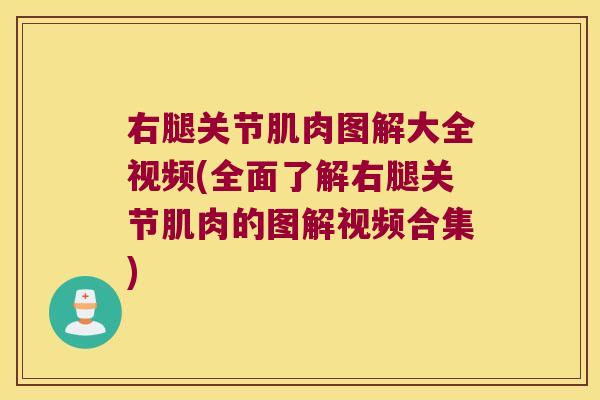 右腿关节肌肉图解大全视频(全面了解右腿关节肌肉的图解视频合集)
