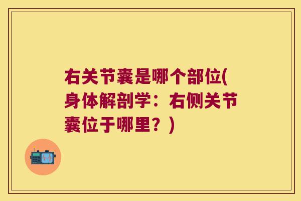 右关节囊是哪个部位(身体解剖学：右侧关节囊位于哪里？)