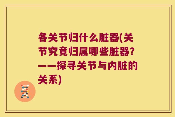 各关节归什么脏器(关节究竟归属哪些脏器?——探寻关节与内脏的关系)