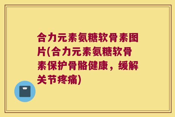 合力元素氨糖软骨素图片(合力元素氨糖软骨素保护骨骼健康,缓解关节疼痛)