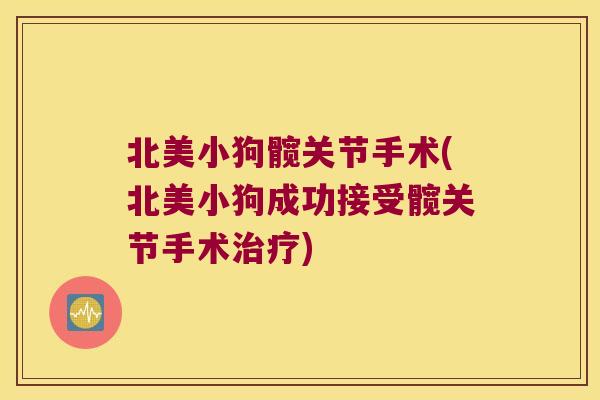 北美小狗髋关节手术(北美小狗成功接受髋关节手术治疗)