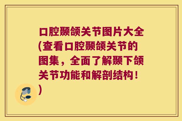 口腔颞颌关节图片大全(查看口腔颞颌关节的图集,全面了解颞下颌关节功能和解剖结构!)