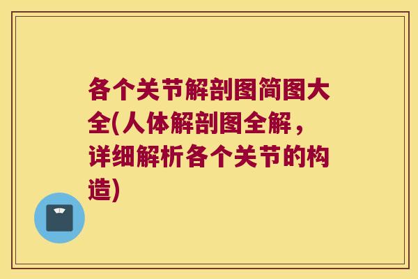各个关节解剖图简图大全(人体解剖图全解,详细解析各个关节的构造)