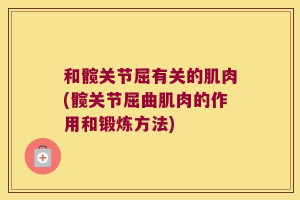 和髋关节屈有关的肌肉(髋关节屈曲肌肉的作用和锻炼方法)