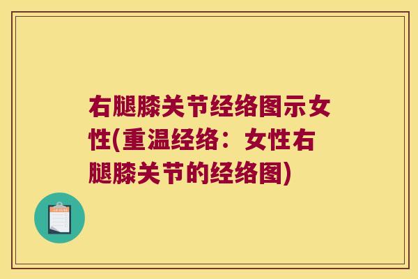 右腿膝关节经络图示女性(重温经络:女性右腿膝关节的经络图)