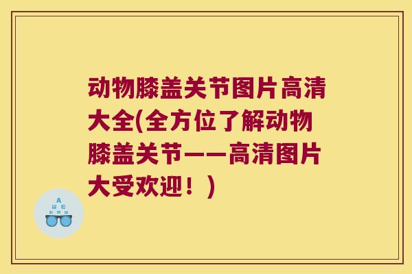 动物膝盖关节图片高清大全(全方位了解动物膝盖关节——高清图片大受欢迎!)