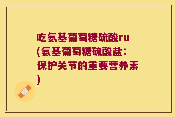 吃氨基葡萄糖硫酸ru(氨基葡萄糖硫酸盐:保护关节的重要营养素)