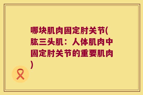 哪块肌肉固定肘关节(肱三头肌:人体肌肉中固定肘关节的重要肌肉) 哪块肌肉固定肘关节(肱三头肌:人体肌肉中固定肘关节的重要肌肉)