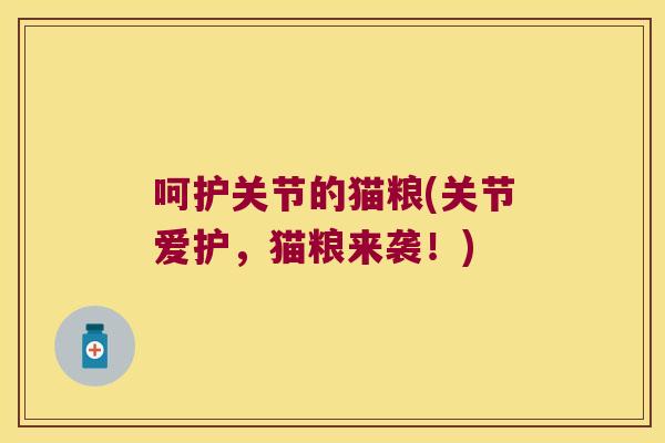 呵护关节的猫粮(关节爱护,猫粮来袭!)