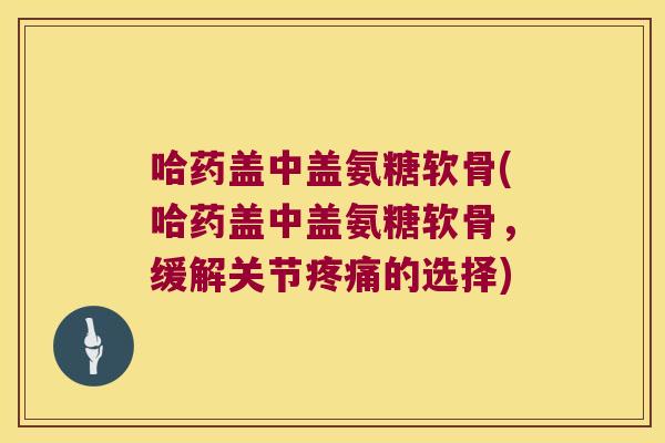 哈药盖中盖氨糖软骨(哈药盖中盖氨糖软骨,缓解关节疼痛的选择)