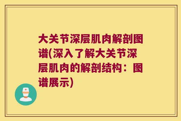 大关节深层肌肉解剖图谱(深入了解大关节深层肌肉的解剖结构:图谱展示)