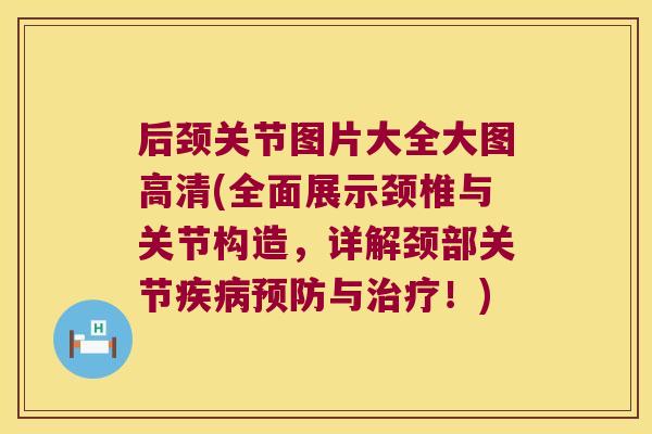 后颈关节图片大全大图高清(全面展示颈椎与关节构造,详解颈部关节疾病预防与治疗!)
