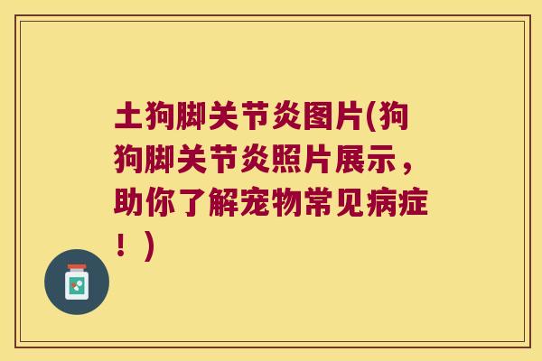 土狗脚关节炎图片(狗狗脚关节炎照片展示，助你了解宠物常见病症！)