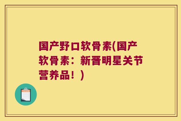 国产野口软骨素(国产软骨素:新晋明星关节营养品!)