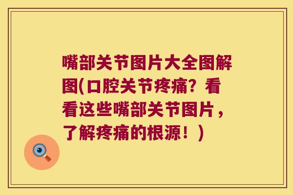 嘴部关节图片大全图解图(口腔关节疼痛?看看这些嘴部关节图片,了解疼痛的根源!)