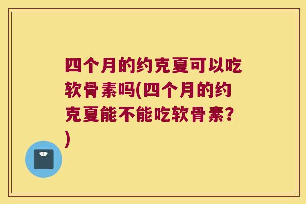 四个月的约克夏可以吃软骨素吗(四个月的约克夏能不能吃软骨素?)