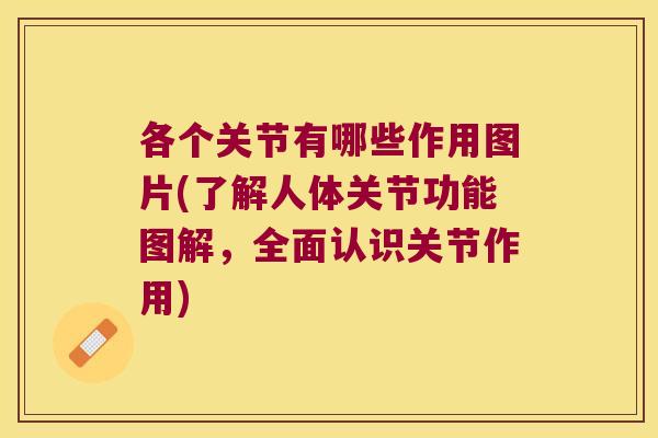 各个关节有哪些作用图片(了解人体关节功能图解,全面认识关节作用) 各个关节有哪些作用图片(了解人体关节功能图解,全面认识关节作用)