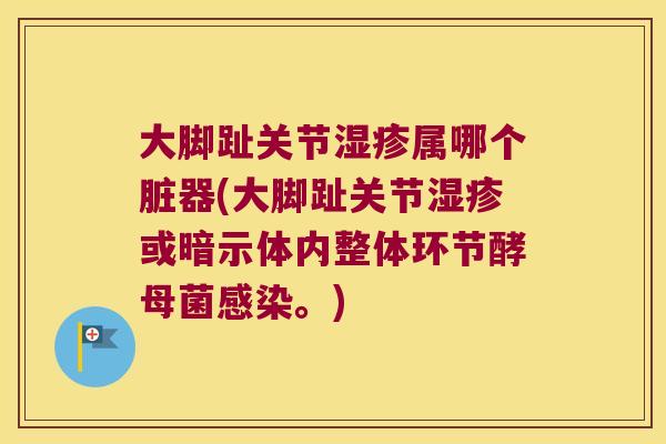 大脚趾关节湿疹属哪个脏器(大脚趾关节湿疹或暗示体内整体环节酵母菌感染。)