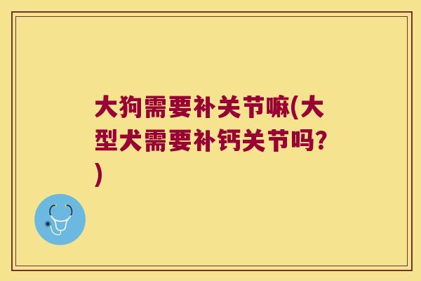 大狗需要补关节嘛(大型犬需要补钙关节吗?)