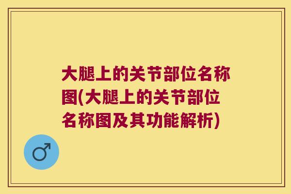 大腿上的关节部位名称图(大腿上的关节部位名称图及其功能解析)
