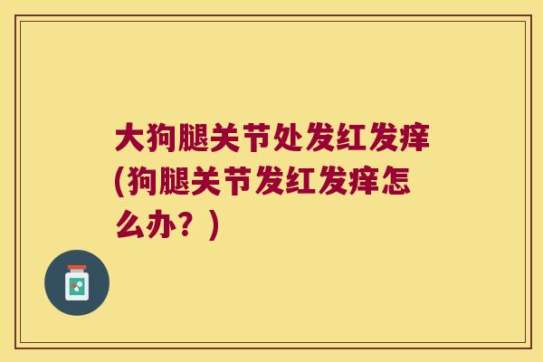 大狗腿关节处发红发痒(狗腿关节发红发痒怎么办?)