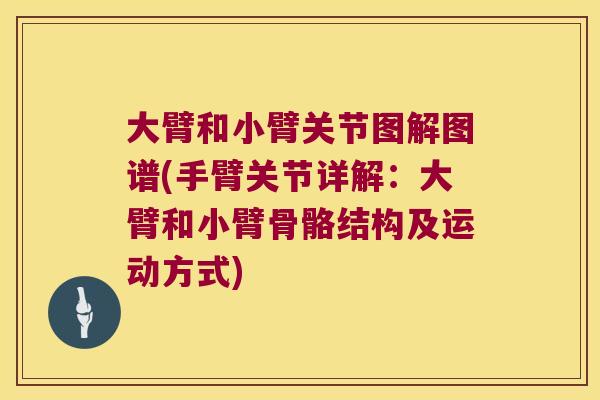 大臂和小臂关节图解图谱(手臂关节详解:大臂和小臂骨骼结构及运动方式)