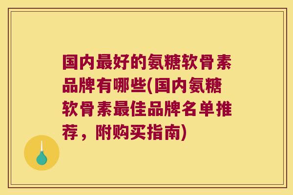 国内最好的氨糖软骨素品牌有哪些(国内氨糖软骨素最佳品牌名单推荐,附购买指南)