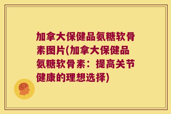 加拿大保健品氨糖软骨素图片(加拿大保健品氨糖软骨素:提高关节健康的理想选择)