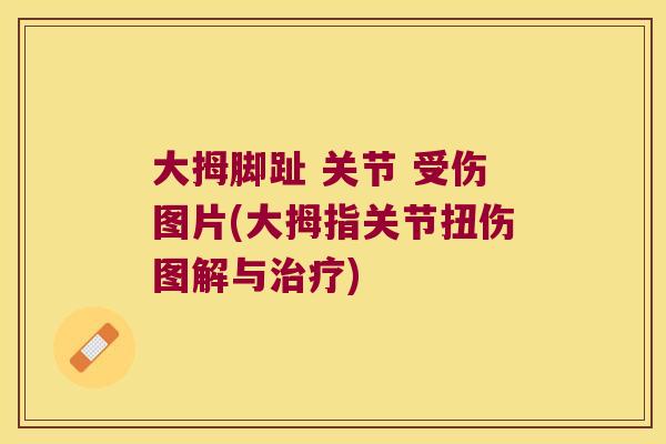大拇脚趾 关节 受伤图片(大拇指关节扭伤图解与) 大拇脚趾 关节 受伤图片(大拇指关节扭伤图解与)
