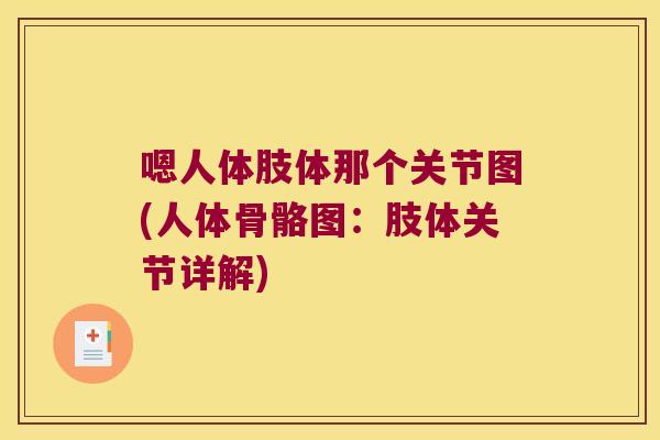 嗯人体肢体那个关节图(人体骨骼图:肢体关节详解)